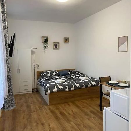 Cozy 1 Bedroom Studio In The Center Of Pilsen Plzeň Exterior foto