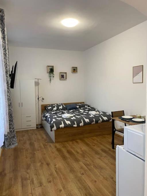 Cozy 1 Bedroom Studio In The Center Of Pilsen Plzeň Exterior foto